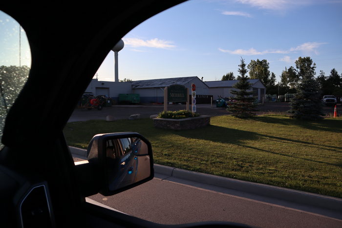 Hemlock - June 2021 (newer photo)